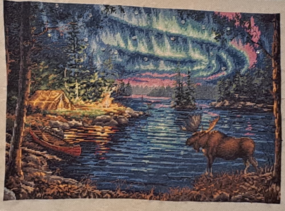 Aurora Borealis and a Moose